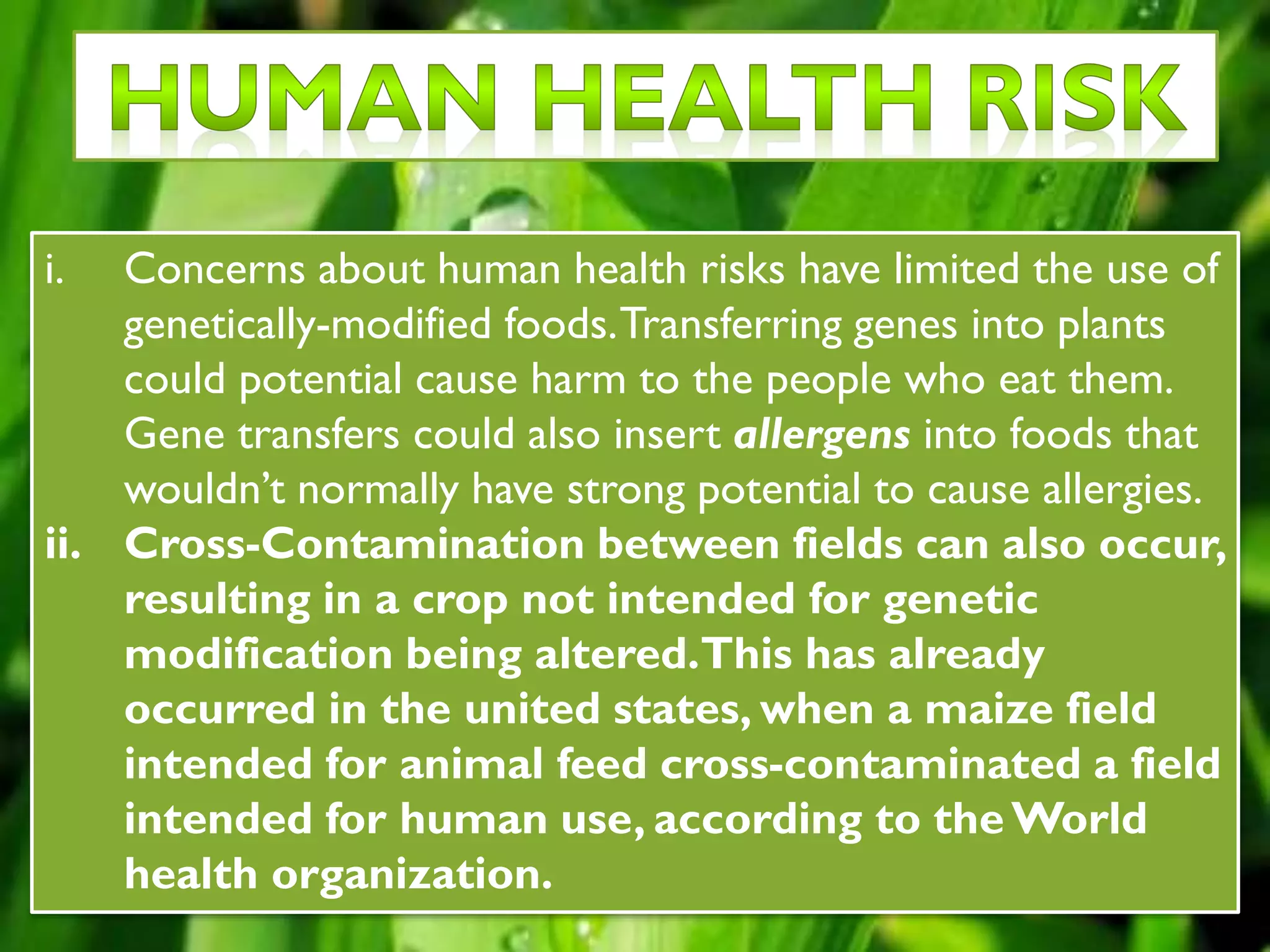 i. Concerns about human health risks have limited the use of
genetically-modified foods.Transferring genes into plants
could potential cause harm to the people who eat them.
Gene transfers could also insert allergens into foods that
wouldn’t normally have strong potential to cause allergies.
ii. Cross-Contamination between fields can also occur,
resulting in a crop not intended for genetic
modification being altered.This has already
occurred in the united states, when a maize field
intended for animal feed cross-contaminated a field
intended for human use, according to theWorld
health organization.
 