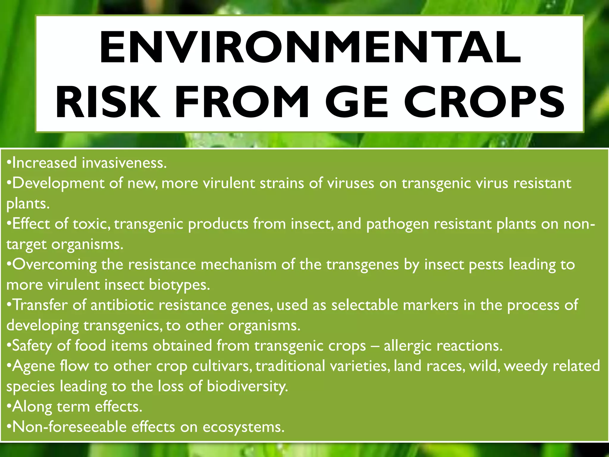 •Increased invasiveness.
•Development of new, more virulent strains of viruses on transgenic virus resistant
plants.
•Effect of toxic, transgenic products from insect, and pathogen resistant plants on non-
target organisms.
•Overcoming the resistance mechanism of the transgenes by insect pests leading to
more virulent insect biotypes.
•Transfer of antibiotic resistance genes, used as selectable markers in the process of
developing transgenics, to other organisms.
•Safety of food items obtained from transgenic crops – allergic reactions.
•Agene flow to other crop cultivars, traditional varieties, land races, wild, weedy related
species leading to the loss of biodiversity.
•Along term effects.
•Non-foreseeable effects on ecosystems.
ENVIRONMENTAL
RISK FROM GE CROPS
 