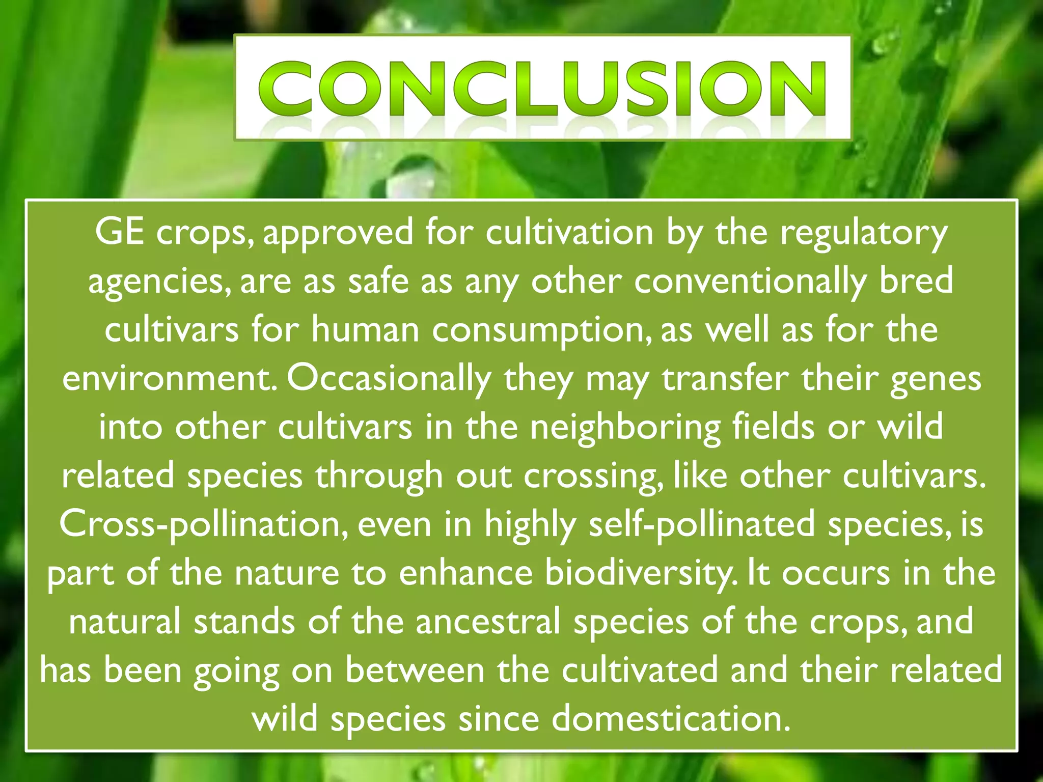 GE crops, approved for cultivation by the regulatory
agencies, are as safe as any other conventionally bred
cultivars for human consumption, as well as for the
environment. Occasionally they may transfer their genes
into other cultivars in the neighboring fields or wild
related species through out crossing, like other cultivars.
Cross-pollination, even in highly self-pollinated species, is
part of the nature to enhance biodiversity. It occurs in the
natural stands of the ancestral species of the crops, and
has been going on between the cultivated and their related
wild species since domestication.
 