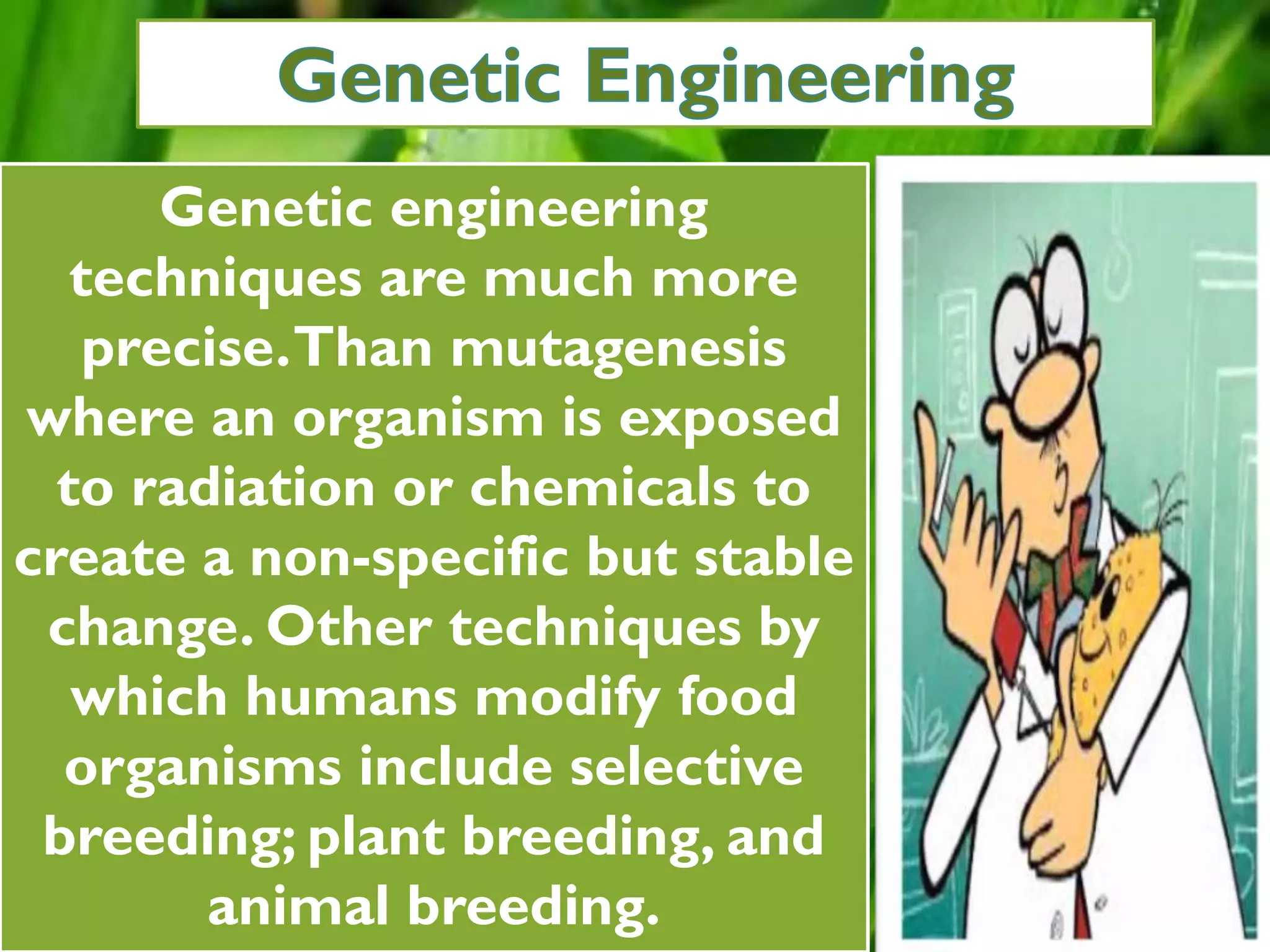 Genetic engineering
techniques are much more
precise.Than mutagenesis
where an organism is exposed
to radiation or chemicals to
create a non-specific but stable
change. Other techniques by
which humans modify food
organisms include selective
breeding; plant breeding, and
animal breeding.
 