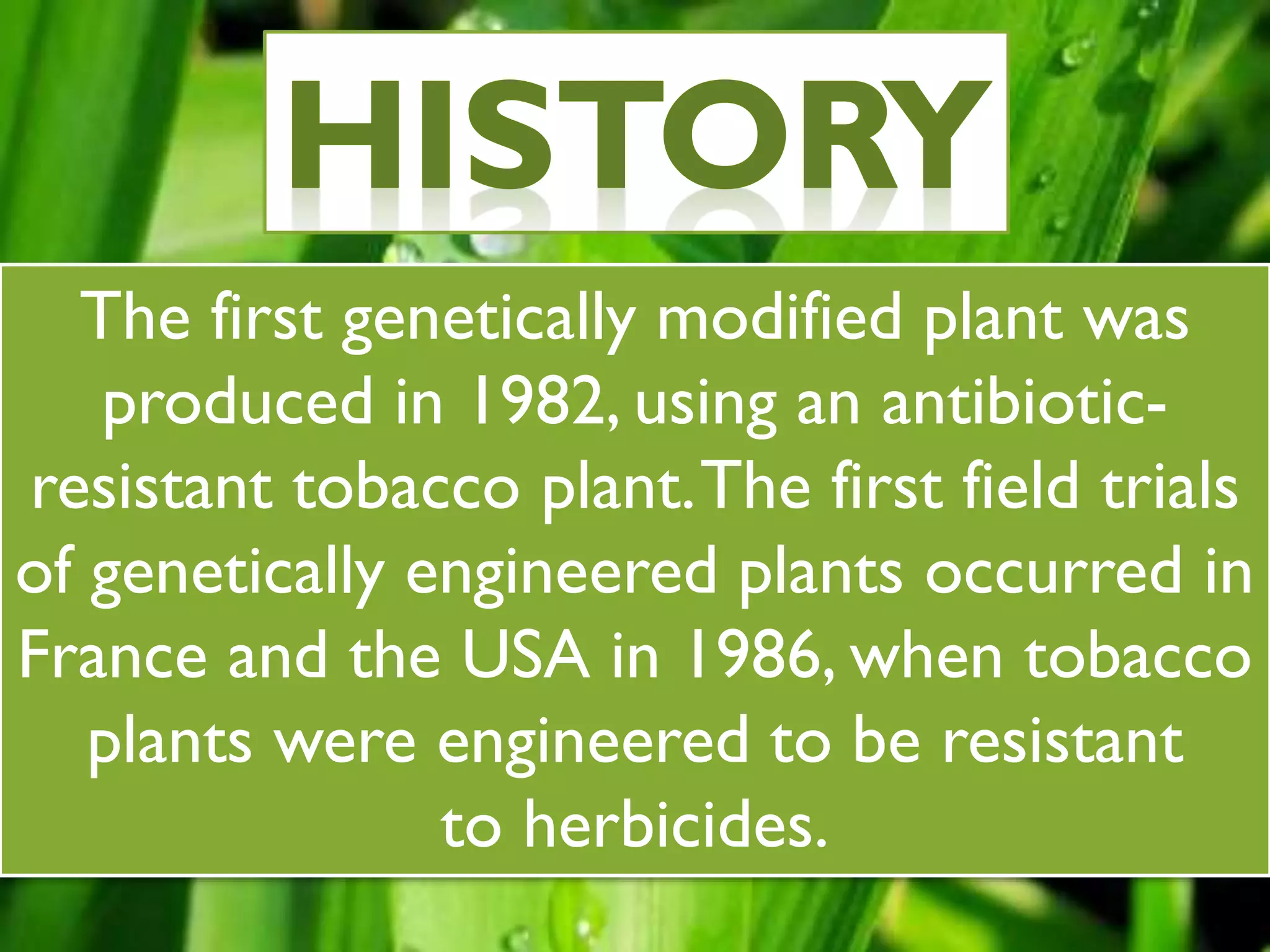 The first genetically modified plant was
produced in 1982, using an antibiotic-
resistant tobacco plant.The first field trials
of genetically engineered plants occurred in
France and the USA in 1986, when tobacco
plants were engineered to be resistant
to herbicides.
 