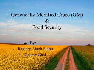 Genetically Modified Crops (GM)
&
Food Security
By:
- Rajdeep Singh Sidhu
- Gaurav Ghai
 
