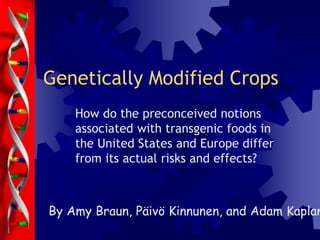 Genetically Modified Crops 
How do the preconceived notions 
associated with transgenic foods in 
the United States and Europe differ 
from its actual risks and effects? 
By Amy Braun, Päivö Kinnunen, and Adam Kaplan 
 