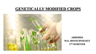 GENETICALLY MODIFIED CROPS
ABHISHEK
M.Sc. BIOTECHNOLOGY
2ND SEMESTER
 