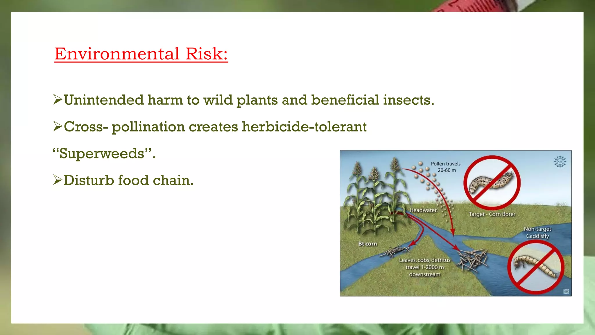 Genetically modified crops | PDF