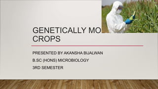 GENETICALLY MODIFIED
CROPS
PRESENTED BY AKANSHA BIJALWAN
B.SC (HONS) MICROBIOLOGY
3RD SEMESTER
 