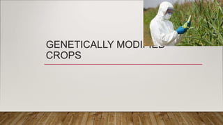 GENETICALLY MODIFIED
CROPS
 