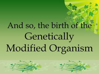 And so, the birth of the
   Genetically
Modified Organism
 