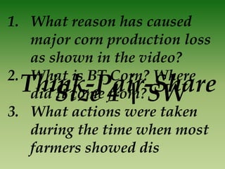 1. What reason has caused
   major corn production loss
   as shown in the video?
2. What is BT Corn? Where
 Think-Pair-Share
    Size 4 | SW
   did it come from?
3. What actions were taken
   during the time when most
   farmers showed dis
 
