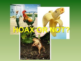 HOAX OR NOT?
 