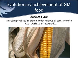 Evolutionary achievement of GM
food
Bug Killing Corn
This corn produces BT protein which kills bug of corn. The corn
itself works as an insecticide.
 