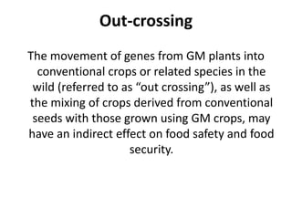 Out-crossing
The movement of genes from GM plants into
conventional crops or related species in the
wild (referred to as “out crossing”), as well as
the mixing of crops derived from conventional
seeds with those grown using GM crops, may
have an indirect effect on food safety and food
security.
 