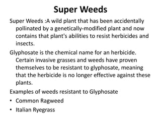 Super Weeds
Super Weeds :A wild plant that has been accidentally
pollinated by a genetically-modified plant and now
contains that plant's abilities to resist herbicides and
insects.
Glyphosate is the chemical name for an herbicide.
Certain invasive grasses and weeds have proven
themselves to be resistant to glyphosate, meaning
that the herbicide is no longer effective against these
plants.
Examples of weeds resistant to Glyphosate
• Common Ragweed
• Italian Ryegrass
 