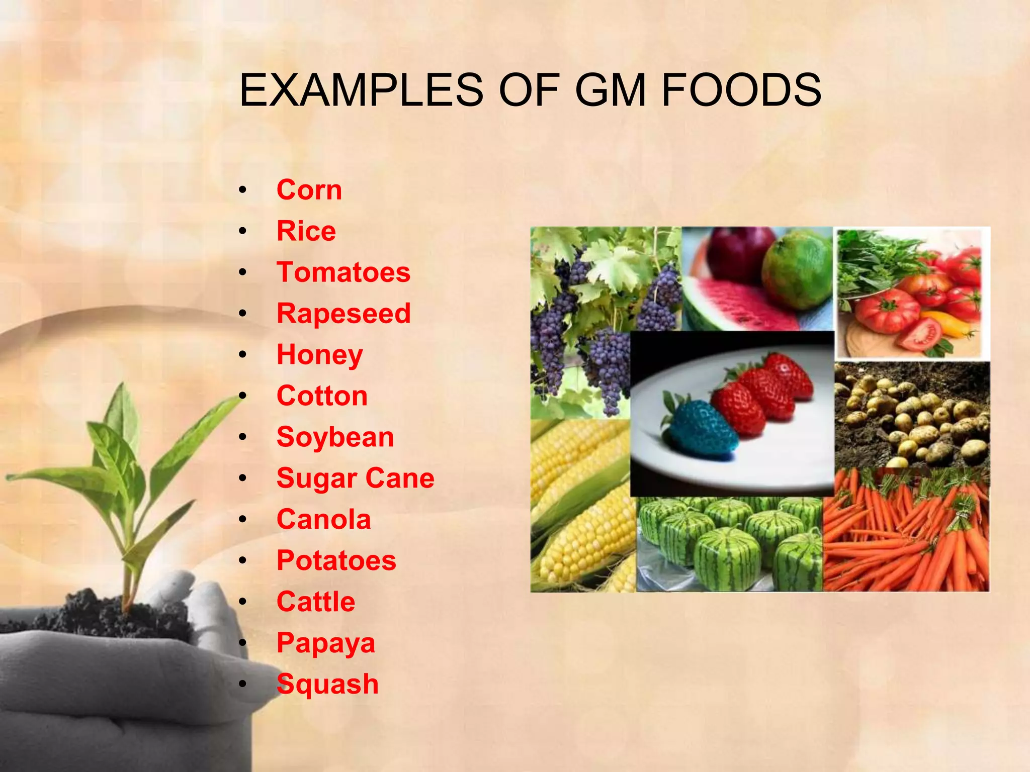 Genetically modified food and its consequences on human health and  nutrition | PPTX, image size:2048x1536