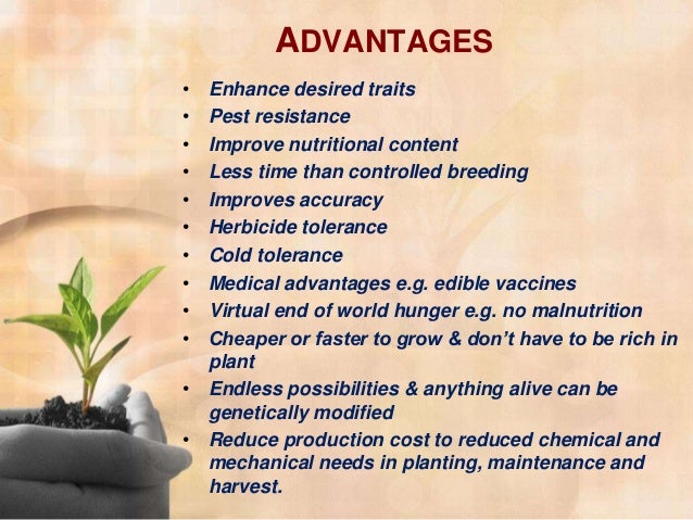 Advantages Of Genetically Modified Foods