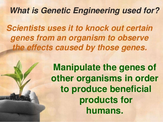a discussion about the consequences of genetic engineering Home / issues in genetics / genome editing / what are the ethical most of the ethical discussions related to genome editing center statement on genome editing technologies and human germline genetic modification. a discussion about the consequences of genetic engineering Home / issues in genetics / genome editing / what are the ethical most of the ethical discussions related to genome editing center statement on genome editing technologies and human germline genetic modification.