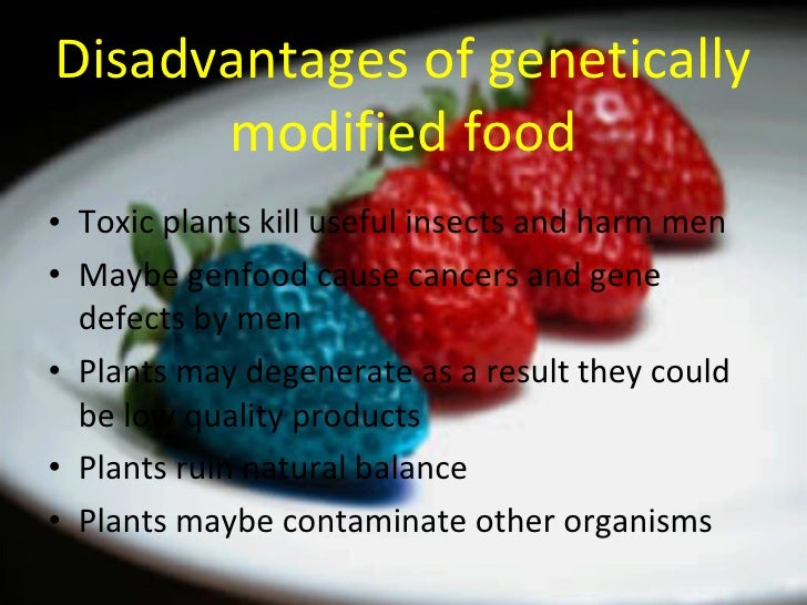 advantages and disadvantages of genetically modified food essay