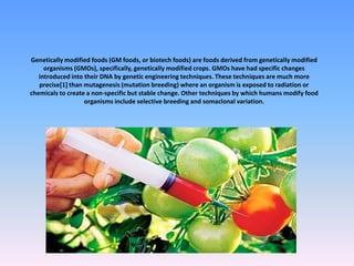 Genetically modified food nadolskaya | PPSX