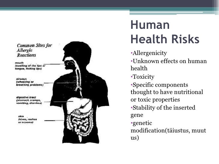 Genetically Modified Foods Are They A Risk To Human Health Genetically Modified Foods Are They A Risk To Human Health