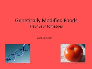 Genetically Modified Foods
                                     Flavr Savr Tomatoes

                                         Anna Niemeyer




http://www.google.com/imgres?q=DNA                       http://www.google.com/imgres?q=flavr+savr+tomatoes
 