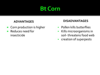 ADVANTAGES                     DISADVANTAGES
   Corn production is higher      Pollen kills butterflies
   Reduces need for               Kills microorganisms in
    insecticide                     soil- threatens food web
                                   creation of superpests
 