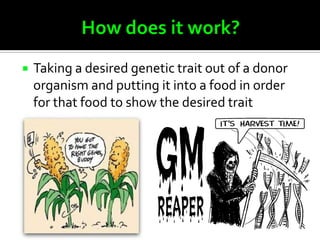    Taking a desired genetic trait out of a donor
    organism and putting it into a food in order
    for that food to show the desired trait
 