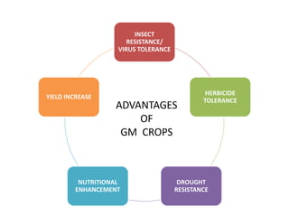INSECT
RESISTANCE/
VIRUS TOLERANCE
HERBICIDE
TOLERANCE
DROUGHT
RESISTANCE
NUTRITIONAL
ENHANCEMENT
YIELD INCREASE
ADVANTAGES
OF
GM CROPS
 