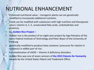 NUTRIONAL ENHANCEMENT
• Enhanced nutritional value – transgenic plants can are genetically
modified to incorporate additional nutrients.
• Foods can be modified with substances with high nutritive and therapeutic
value ( vitamin A, C, E, unsaturated fatty acids, carbohydrates and
proteins).
• Eg: Golden Rice Project –
• Golden rice is the product of an eight-year project by Ingo Potrykus of the
Swiss Federal Institute of Technology and Peter Beyer of the University of
Freiburg.
• genetically modified to produce beta carotene ( precursor for vitamin A
synthesis) in edible part of rice.
• For amelioration of VADD – Vitamin A deficiency disorders.
• Golden Rice was one of seven winners of the 2015 Patents for Humanity
Awards by the United States Patent and Trademark Office.
 