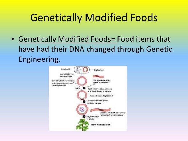 genetically altered food essay genetically altered food essay