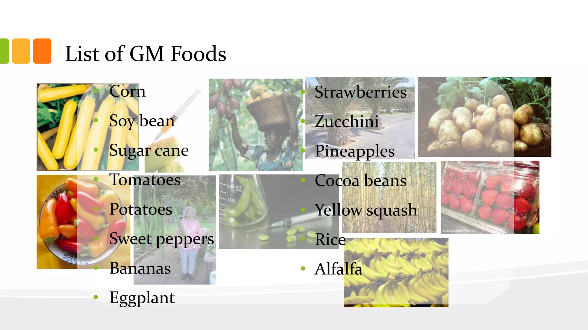 Genetically Modified Food | PPTX, image size:2048x1152