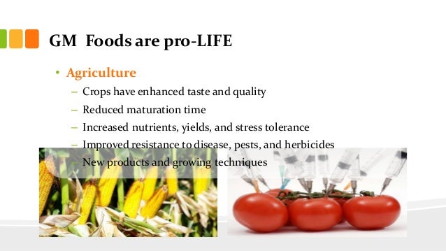 Genetically Modified Food Increased Food Production Genetically Modified Food Increased Food Production