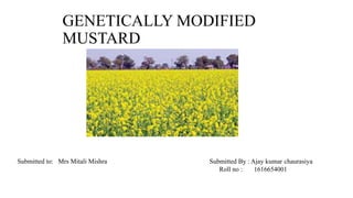 GENETICALLY MODIFIED
MUSTARD
Submitted to: Mrs Mitali Mishra Submitted By : Ajay kumar chaurasiya
Roll no : 1616654001
 