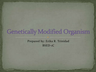 Prepared by: Erika R. Trinidad BSED-1C Genetically Modified Organism 
