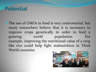 PotentialThe use of GMOs in food is very controversial, but many researchers believe that it is necessary to improve crops genetically in order to feed a growing world population. For example, improving the nutritional value of a crop like rice could help fight malnutrition in Third World countries