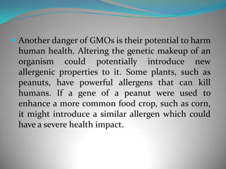 Another danger of GMOs is their potential to harm human health. Altering the genetic makeup of an organism could potentially introduce new allergenic properties to it. Some plants, such as peanuts, have powerful allergens that can kill humans. If a gene of a peanut were used to enhance a more common food crop, such as corn, it might introduce a similar allergen which could have a severe health impact. 