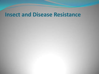 Insect and Disease Resistance