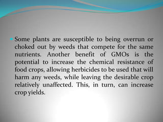 Some plants are susceptible to being overrun or choked out by weeds that compete for the same nutrients. Another benefit of GMOs is the potential to increase the chemical resistance of food crops, allowing herbicides to be used that will harm any weeds, while leaving the desirable crop relatively unaffected. This, in turn, can increase crop yields. 