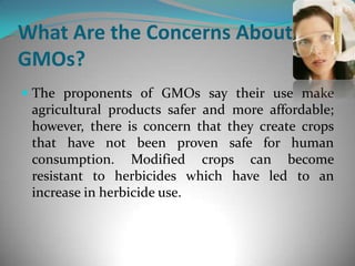 What Are the Concerns About GMOs?The proponents of GMOs say their use make agricultural products safer and more affordable; however, there is concern that they create crops that have not been proven safe for human consumption. Modified crops can become resistant to herbicides which have led to an increase in herbicide use. 