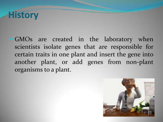 HistoryGMOs are created in the laboratory when scientists isolate genes that are responsible for certain traits in one plant and insert the gene into another plant, or add genes from non-plant organisms to a plant. 