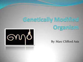 Genetically Modified Organism  By: Marc Clifford Asis 