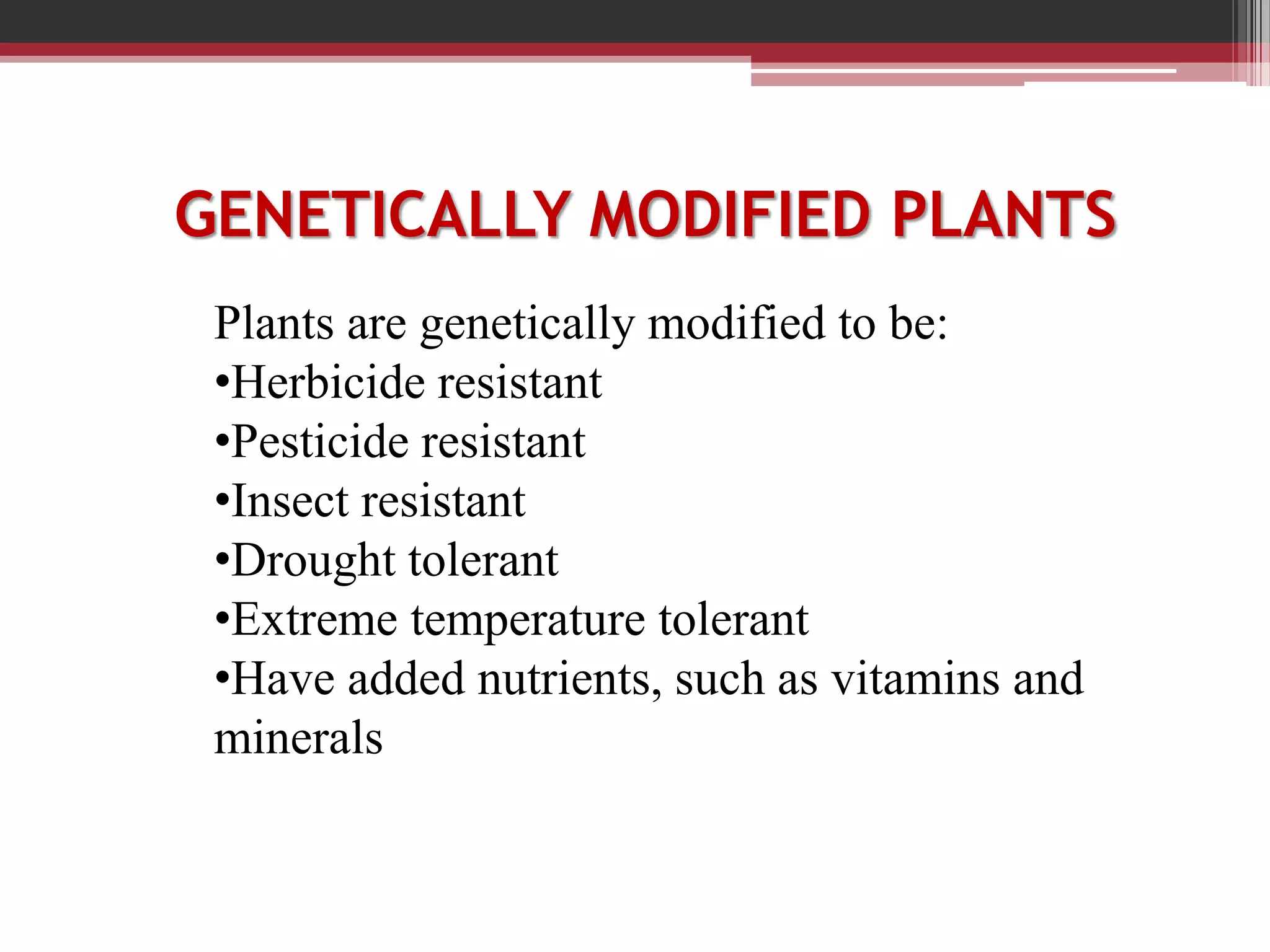 Plants are genetically modified to be:
•Herbicide resistant
•Pesticide resistant
•Insect resistant
•Drought tolerant
•Extreme temperature tolerant
•Have added nutrients, such as vitamins and
minerals
GENETICALLY MODIFIED PLANTS
 