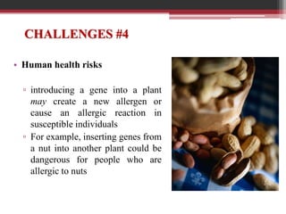 Genetically Modified Organism.ppt