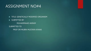 ASSIGNMENT NO#4
 TITLE: GENETICALLY MODIFIED ORGANISM
 SUBMITTED BY
MUHAMMAAD AKRAM
SUBMITTED TO
PROF DR MUBIN MUSTAFA KIYANI
 