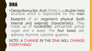 DNA
•Deoxyribonucleic Acid (DNA) is a double-helix
structure which is responsible for the main
blueprint of an organism’s physical (both
internal and external) characteristics. They
made up of nucleotides (phosphate group,
sugar and a base). The four bases are:
adenine, thymine, cytosine, guanine.
NOTE: A CHANGE IN THE DNA WILL CHANGE
EVERYTHING!
 