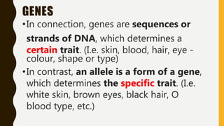 GENES
•In connection, genes are sequences or
strands of DNA, which determines a
certain trait. (I.e. skin, blood, hair, eye -
colour, shape or type)
•In contrast, an allele is a form of a gene,
which determines the specific trait. (I.e.
white skin, brown eyes, black hair, O
blood type, etc.)
 