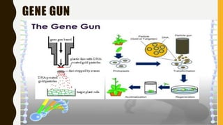GENE GUN
 