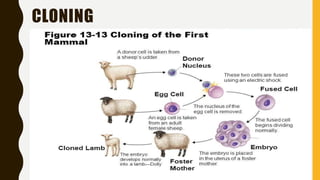 CLONING
 