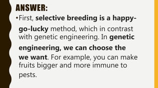 ANSWER:
•First, selective breeding is a happy-
go-lucky method, which in contrast
with genetic engineering. In genetic
engineering, we can choose the
we want. For example, you can make
fruits bigger and more immune to
pests.
 