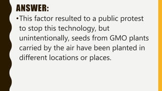 ANSWER:
•This factor resulted to a public protest
to stop this technology, but
unintentionally, seeds from GMO plants
carried by the air have been planted in
different locations or places.
 