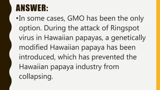 ANSWER:
•In some cases, GMO has been the only
option. During the attack of Ringspot
virus in Hawaiian papayas, a genetically
modified Hawaiian papaya has been
introduced, which has prevented the
Hawaiian papaya industry from
collapsing.
 